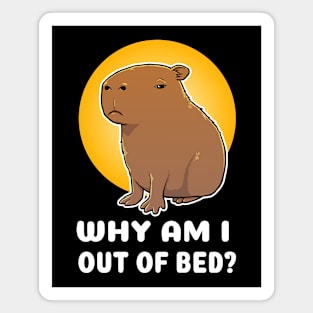 Why am I out of bed Capybara Cartoon Magnet